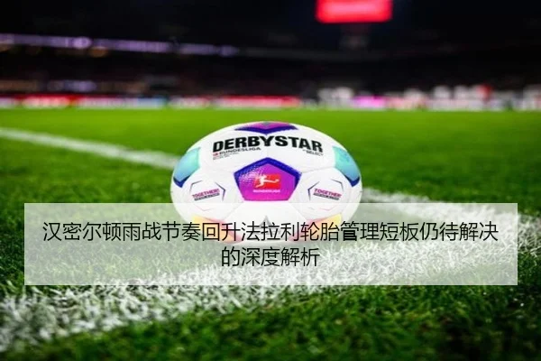 汉密尔顿雨战节奏回升法拉利轮胎管理短板仍待解决的深度解析
